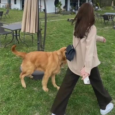 暗恋者的救赎